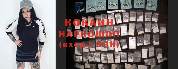твердый Новодвинск