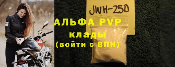 твердый Новодвинск