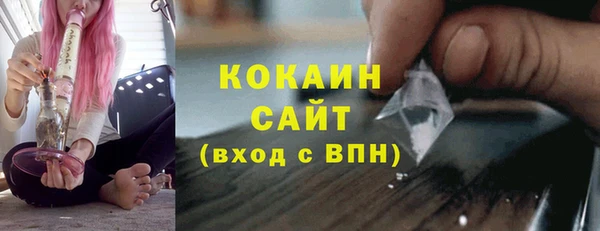 твердый Новодвинск