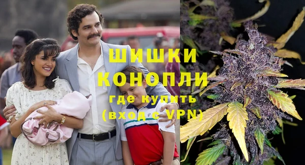 твердый Новодвинск