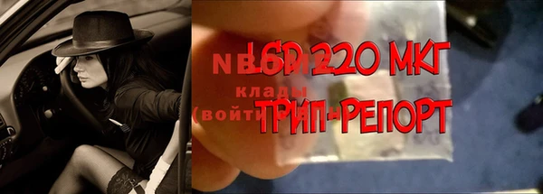 МДПВ Новозыбков