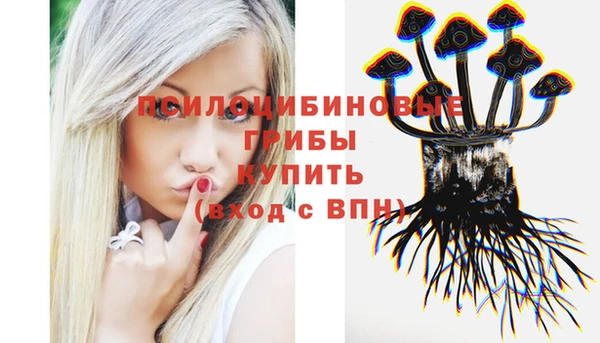 твердый Новодвинск