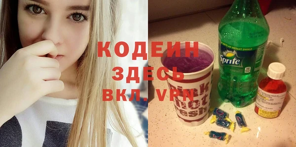 твердый Новодвинск