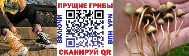 Галлюциногенные грибы мицелий  Омск 