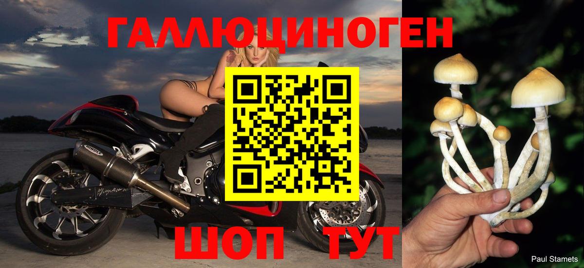 Псилоцибиновые грибы мицелий  Галлюциногенные грибы мухоморы  Омск  Вход с VPN 